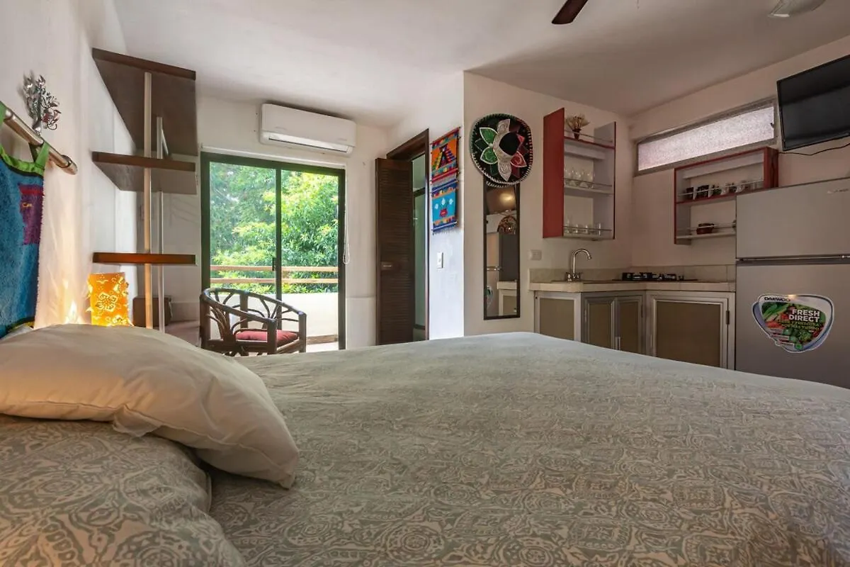 Live Like A Local, Rooftop Studio In Central Playa Playa del Carmen Mexico