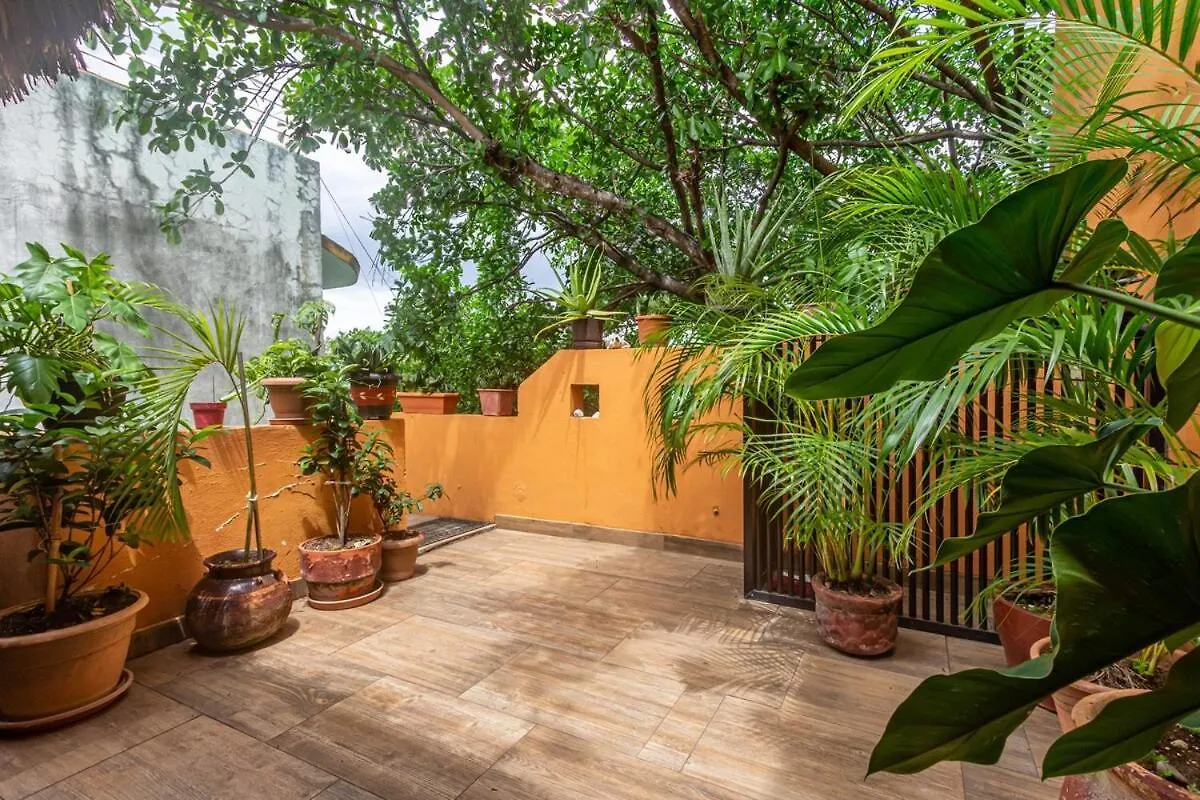 Apartment Live Like A Local, Rooftop Studio In Central Playa Playa del Carmen Mexico